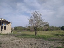 Satılır Torpaq, Qəbələ.ş-6
