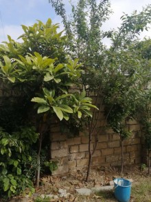 Satılır Həyət evi, Xəzər.r-7