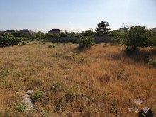 Satılır Torpaq, Xəzər.r, Buzovna, Koroğlu.m-2