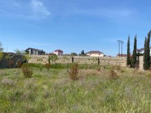 Satılır Torpaq, Xəzər.r, Şağan, Koroğlu.m-6