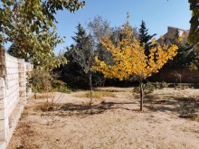 Satılır Torpaq, Sabunçu.r, Nardaran, Koroğlu.m-6