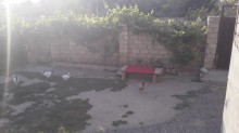 Satılır Həyət evi, Xəzər.r, Binə, Koroğlu.m-2