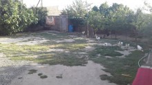 Satılır Həyət evi, Xəzər.r, Binə, Koroğlu.m-11