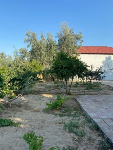 nardaran baglari satisi, -3
