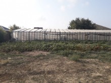 buzovnada torpaq sahesi satilir, -1