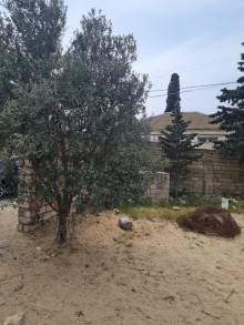 şüvəlan evlər, -4