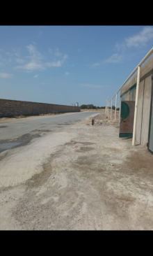 Satılır Torpaq, Suraxanı.r, Yeni Suraxanı, Koroğlu.m-4