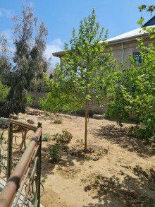 Kirayə (Aylıq) Həyət evi, Xəzər.r, Mərdəkan-3