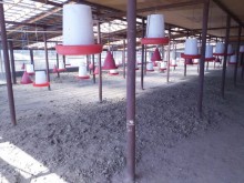 Satılır Obyekt, Abşeron.r, Mehdiabad-10
