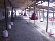Satılır Obyekt, Abşeron.r, Mehdiabad-11