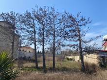 Satılır Torpaq, Xəzər.r, Mərdəkan, Koroğlu.m-6