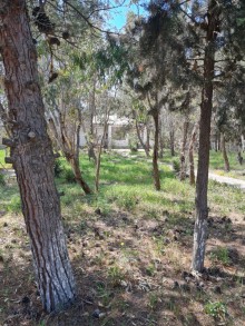 Satılır Torpaq, Xəzər.r, Mərdəkan-5