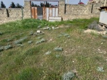 Satılır Torpaq, Səbail.r, Badamdar-10