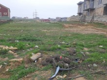 Satılır Torpaq, Səbail.r, Badamdar-1