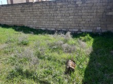Satılır Torpaq, Səbail.r, Badamdar-2