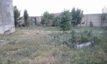 Satılır Həyət evi, Şəki.ş-10