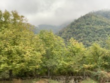 Satılır Həyət evi, Qəbələ.ş-20