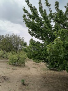 Satılır Həyət evi, Abşeron.r, Novxanı-2