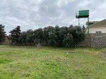 Satılır Torpaq, Xəzər.r, Şüvəlan-10
