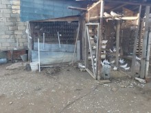 Satılır Torpaq, Səbail.r, Badamdar-6