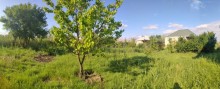 Satılır Həyət evi, Mingəçevir.ş-6