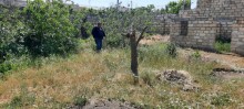 Satılır Torpaq, Binəqədi.r, 28 may, 20 Yanvar.m-5