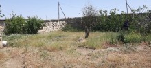 Satılır Torpaq, Binəqədi.r, 28 may, 20 Yanvar.m-6