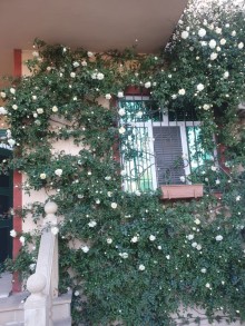 Satılır Həyət evi, Xətai.r, Həzi Aslanov.m-2