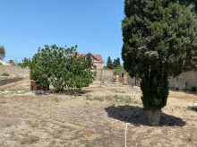 Satılır Torpaq, Xəzər.r, Şüvəlan, Koroğlu.m-4