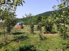 Satılır Torpaq, Qəbələ.ş-2