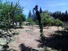 Satılır Həyət evi, Abşeron.r, Novxanı-2
