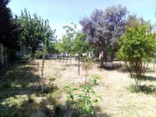 Satılır Həyət evi, Abşeron.r, Novxanı-4
