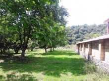 Satılır Torpaq, Qəbələ.ş-10