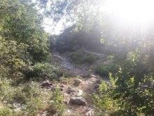 Satılır Torpaq, Qəbələ.ş-5
