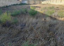 Satılır Torpaq, Səbail.r, Badamdar-2