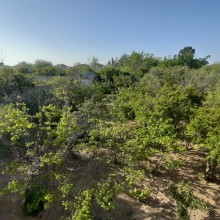 Satılır Həyət evi, Abşeron.r, Novxanı-5