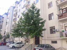 Kirayə (Aylıq) Yeni Tikili, Xırdalan.ş-1