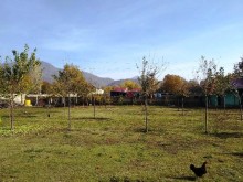 Satılır Həyət evi, Qəbələ.ş-17