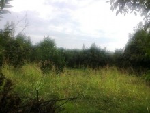 Satılır Torpaq, Qəbələ.ş-2