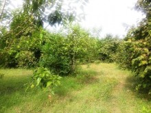 Satılır Torpaq, Qəbələ.ş-5