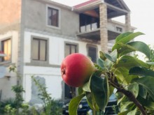 Satılır Həyət evi, -1