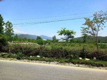 Satılır Torpaq, Qəbələ.ş-6