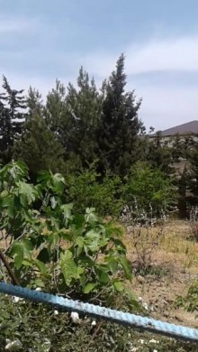 Satılır Torpaq, Xəzər.r, Şağan-1
