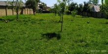 Satılır Torpaq, Qəbələ.ş-2