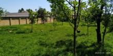 Satılır Torpaq, Qəbələ.ş-3