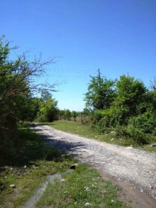 Satılır Torpaq, Qəbələ.ş-5