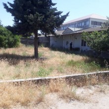 Satılır Həyət evi, -1