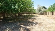 Satılır Torpaq, Abşeron.r, Goradil-1