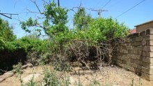 Satılır Torpaq, Abşeron.r, Goradil-11