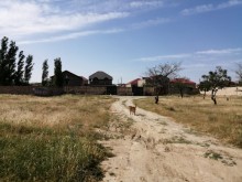 Satılır Torpaq, Abşeron.r, Masazır-1